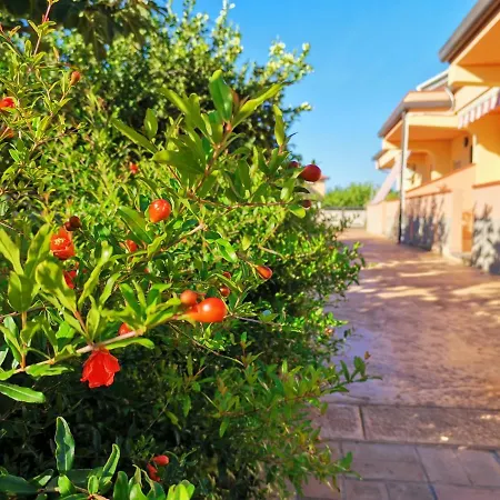 Le Zagare Case Vacanza Cropani Exterior photo